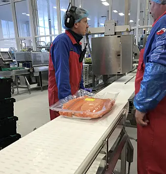 Mye av laksefilet som sendes ut av landet, pakkes i såkalt Big batch, det vil si pakninger med 10–12 kilo fileter. Det er ofte plass til to slike bigbatchpakker i hver transportkasse. (Foto: Nofima) Mye av laksefilet som sendes ut av landet, pakkes i såkalt Big batch, det vil si pakninger med 10–12 kilo fileter. Det er ofte plass til to slike bigbatchpakker i hver transportkasse. (Foto: Nofima)