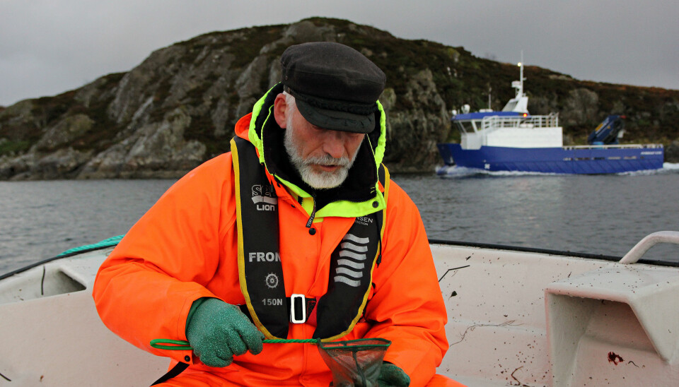 Forsker Terje van der Meeren er ute i felt for å overvåke torsken ved Smøla. Det har han og kollegene ved Havforskningsinstituttet gjort siden 2015, og skal fortsette fram til 2020. (Foto: Anders Jakbosen/Havforskningsinstituttet)