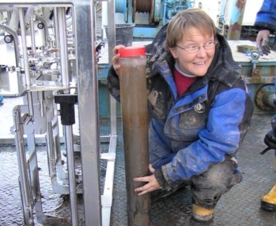 Bildet viser en sedimentkjerne fra Kongsfjorden på Svalbard. Marine sedimentkjerner er basis for rekonstruksjoner av for eksempel temperaturen av havvann. (Foto: Katrine Husum, Norsk Polarinstitutt) Bildet viser en sedimentkjerne fra Kongsfjorden på Svalbard. Marine sedimentkjerner er basis for rekonstruksjoner av for eksempel temperaturen av havvann. (Foto: Katrine Husum, Norsk Polarinstitutt)