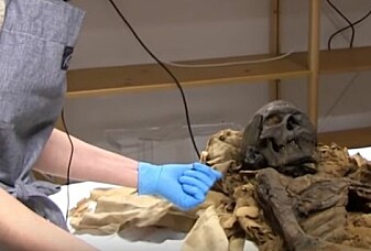 Se hva ekspertene fant ut om den 2700 år gamle mumien