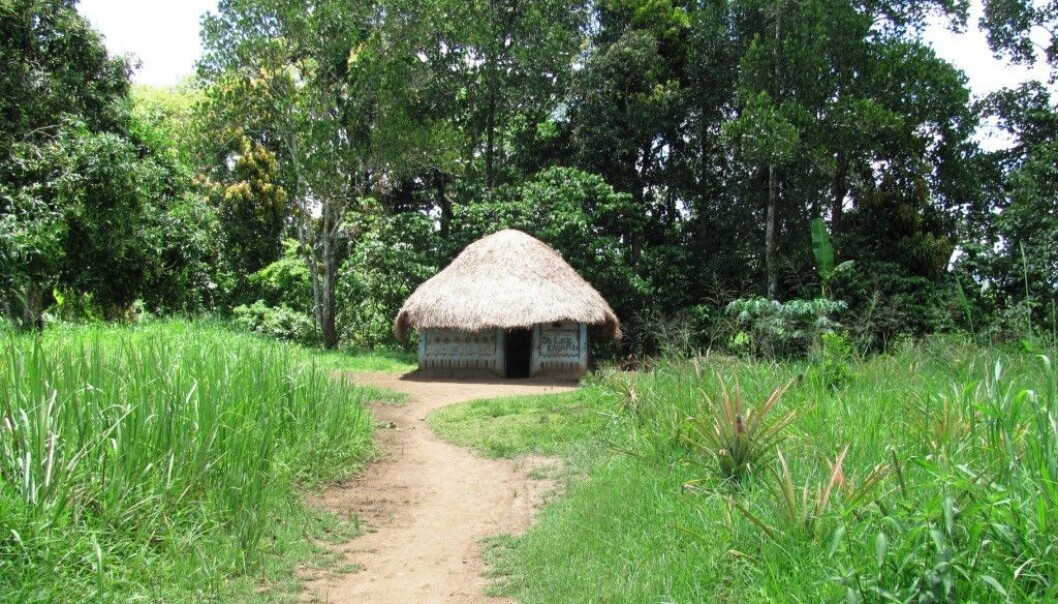 Et hus i skogkanten i Kibaale-distriktet i Uganda. Fra en av landsbyene der forskere testet om det lønner seg å betale skogeiere for å la være å hugge ned trærne. (Foto: Megan Kearns) Et hus i skogkanten i Kibaale-distriktet i Uganda. Fra en av landsbyene der forskere testet om det lønner seg å betale skogeiere for å la være å hugge ned trærne. (Foto: Megan Kearns)
