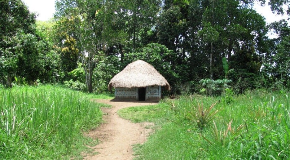 Betaling hindret hogst i Uganda