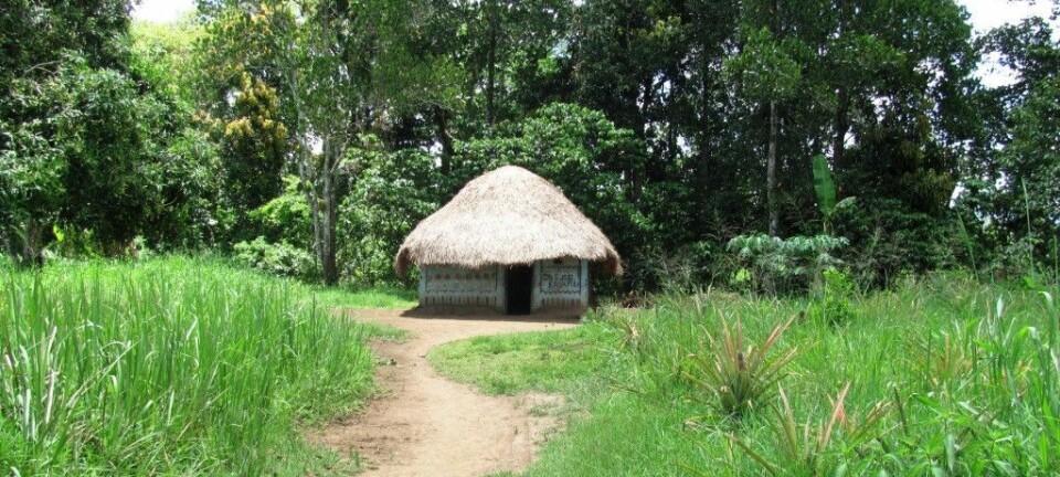 Et hus i skogkanten i Kibaale-distriktet i Uganda. Fra en av landsbyene der forskere testet om det lønner seg å betale skogeiere for å la være å hugge ned trærne. (Foto: Megan Kearns)