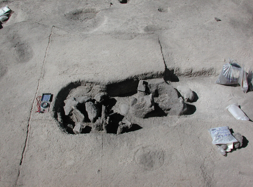 I denne graven lå et av individene som forskerne har undersøkt. De menneskelige levningene er fjernet. (Foto: Mark Aldenderfer)