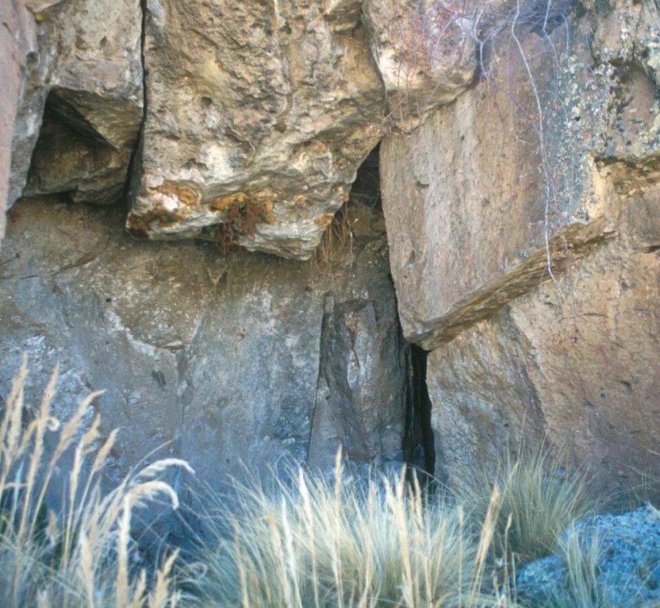 En av hulene der de menneskene som forskerne har studert, ble funnet. (Foto: Mark Aldenderfer)