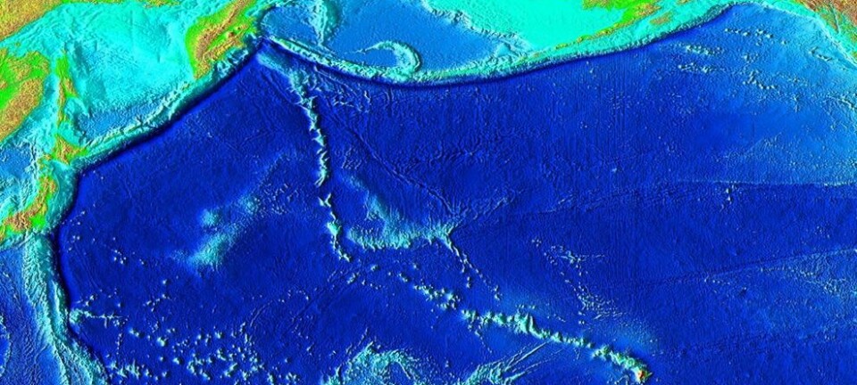 Denne undersjøiske fjellkjeden har en helt enestående knekk på midten. Hva forårsaket den? (Illustrasjon: National Geophysical Data Center/USGS)