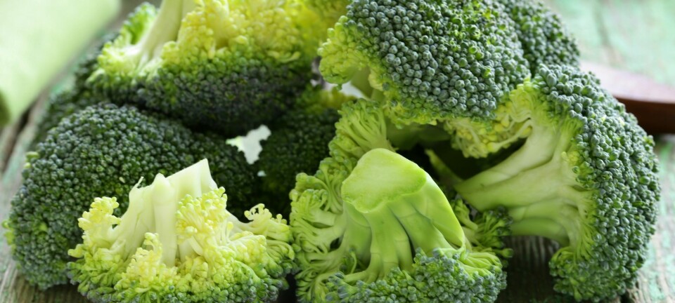 To porsjoner med brokkoli sammen med én porsjon potetmos, gjør at blodsukkeret ditt holder seg mer stabilt.  (Illustrasjonsfoto: Colourbox)
