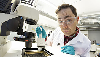 The researcher and biochemist Torkild Visn in the laboratory Sintef. (Photo by Thor Nielsen) The researcher and biochemist Torkild Visn in the laboratory Sintef. (Photo by Thor Nielsen)