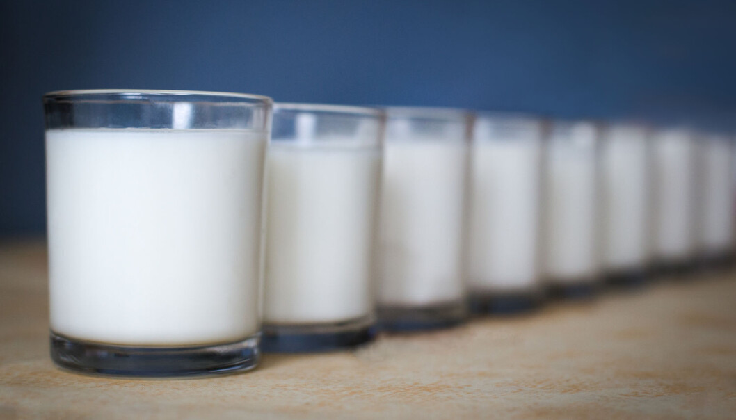 - For å få i seg nok jod med fisk må man spise hvit fisk til middag hver eneste dag. Eller drikke åtte desiliter melk eller yoghurt hver eneste dag. Eller kombinere disse. Dette er noe flertallet norske kvinner ikke klarer, skriver Tanja Kalchenko. (Foto: Shutterstock / NTB scanpix) - For å få i seg nok jod med fisk må man spise hvit fisk til middag hver eneste dag. Eller drikke åtte desiliter melk eller yoghurt hver eneste dag. Eller kombinere disse. Dette er noe flertallet norske kvinner ikke klarer, skriver Tanja Kalchenko. (Foto: Shutterstock / NTB scanpix)