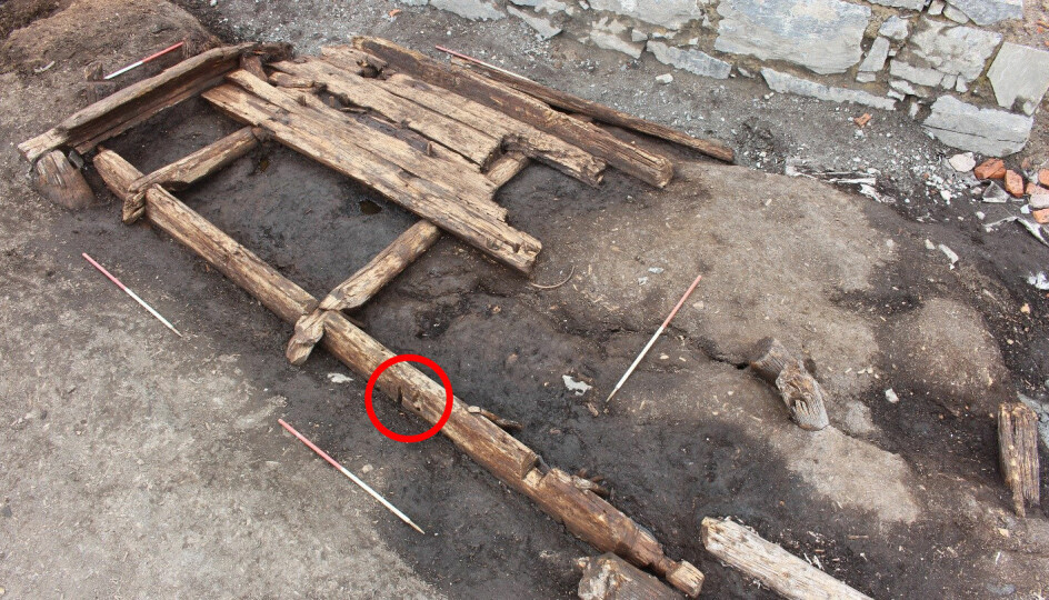 Det ble avdekket ett hull i ytterveggen på et hus ved Bispegata (middelalderens Bispeallmenning). Har det vært plassert en do-stang her? (Foto: Line Hovd, NIKU)