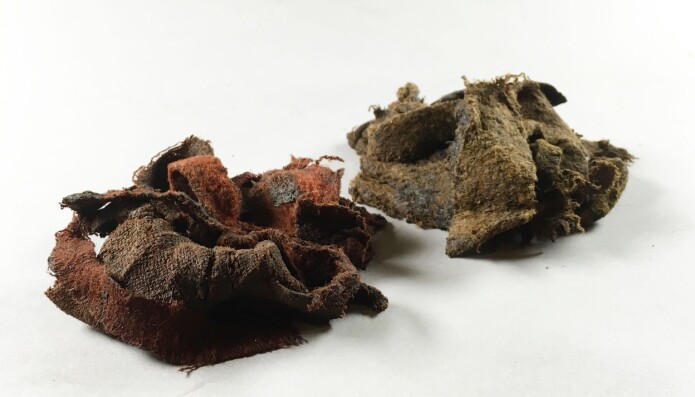 Tekstil funnet i avføringslag, muligens damebind fra middelalderen? (Foto: Sara Langvik Berge, NIKU) Tekstil funnet i avføringslag, muligens damebind fra middelalderen? (Foto: Sara Langvik Berge, NIKU)