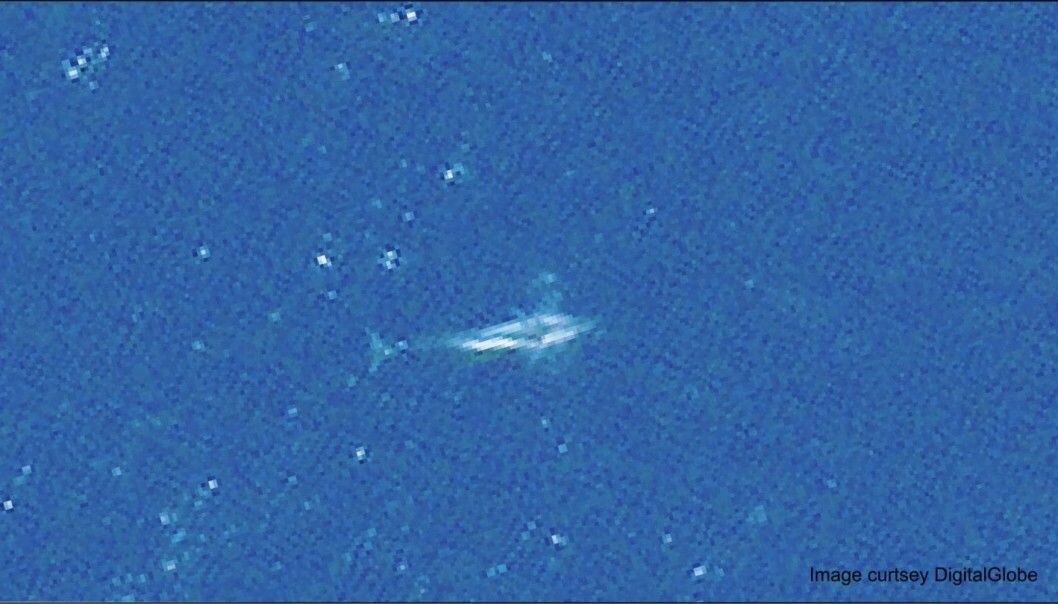 Hvaler befinner seg ofte på steder hvor det er vanskelig for forskere å komme til. Satellittbilder kan gjøre jobben enklere. (Foto: ©2018 DigitalGlobe, a Maxar company) Hvaler befinner seg ofte på steder hvor det er vanskelig for forskere å komme til. Satellittbilder kan gjøre jobben enklere. (Foto: ©2018 DigitalGlobe, a Maxar company)