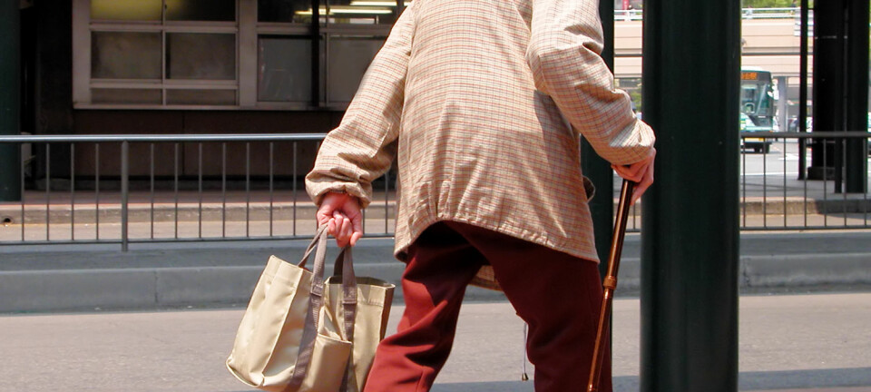 Flest butikktyverier i Japan blir begått av personer over 60 år.  (Foto: Radu Razvan / Shutterstock / NTB scanpix)