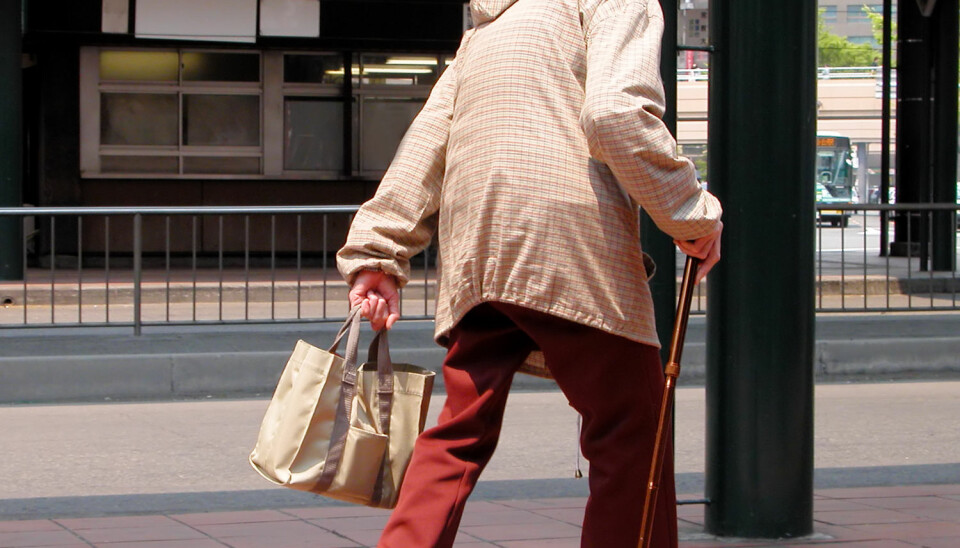 Flest butikktyverier i Japan blir begått av personer over 60 år.  (Foto: Radu Razvan / Shutterstock / NTB scanpix)