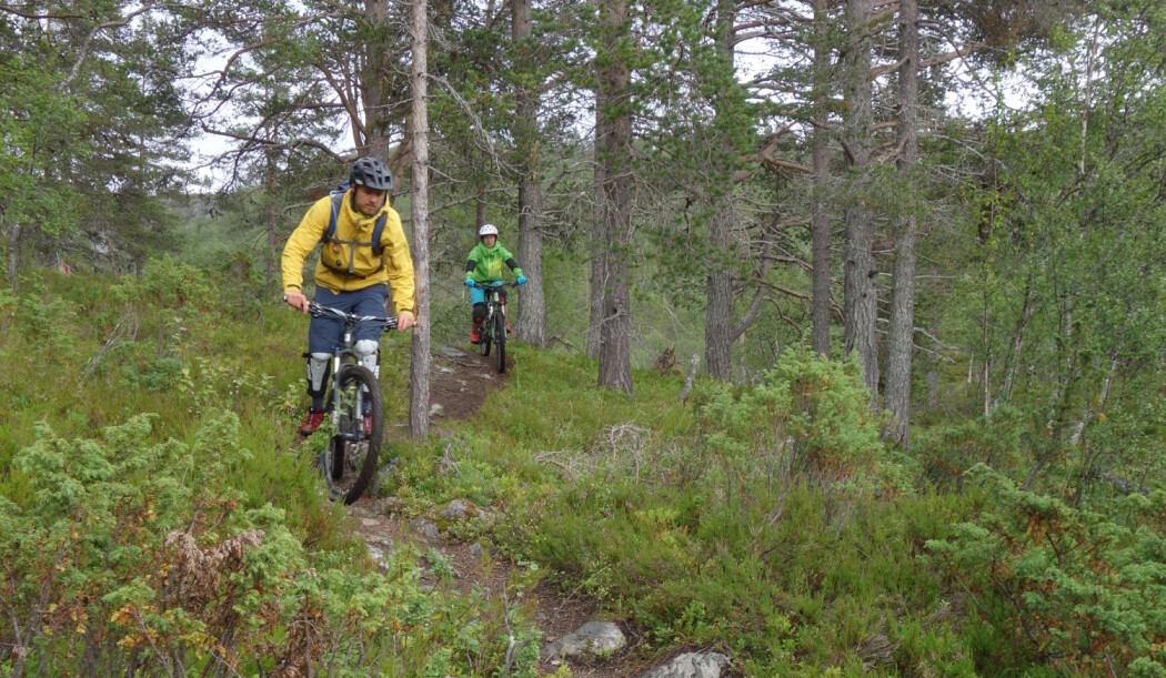 Stisyklister er blant de nye brukergruppene som skal ønskes velkommen inn i nasjonalparkene. (Foto: Marianne Evju) Stisyklister er blant de nye brukergruppene som skal ønskes velkommen inn i nasjonalparkene. (Foto: Marianne Evju)