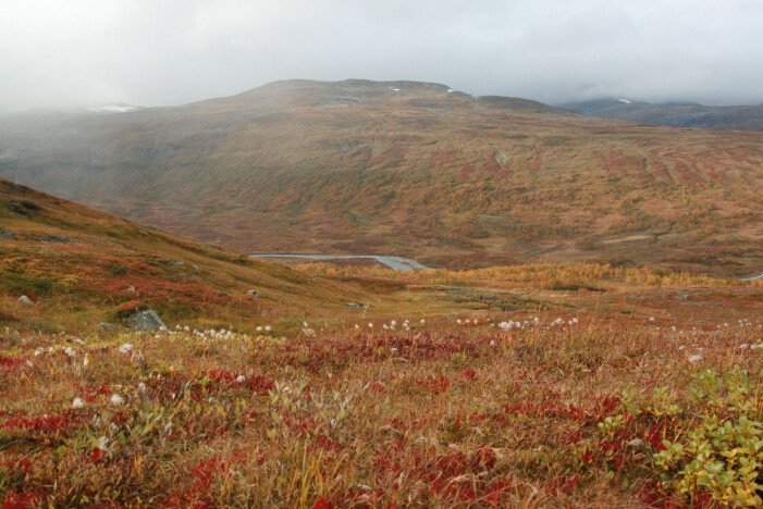 Norske nasjonalparker er viktige områder for friluftsliv, og i mange av nasjonalparkene er friluftsliv en del av formålet med vernet. Her fra Børgefjell nasjonalpark. (Foto: Marianne Evju) Norske nasjonalparker er viktige områder for friluftsliv, og i mange av nasjonalparkene er friluftsliv en del av formålet med vernet. Her fra Børgefjell nasjonalpark. (Foto: Marianne Evju)