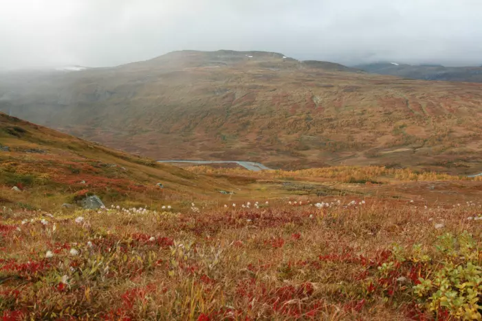 Norske nasjonalparker er viktige områder for friluftsliv, og i mange av nasjonalparkene er friluftsliv en del av formålet med vernet. Her fra Børgefjell nasjonalpark. (Foto: Marianne Evju)