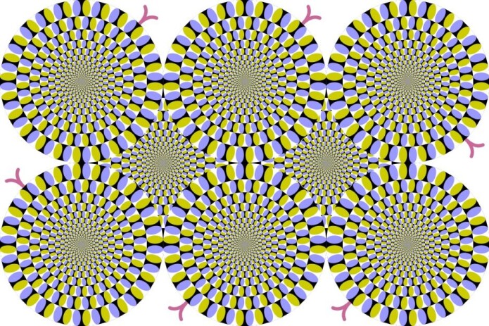 Illusjonen «The Rotating Snakes» var med i «Best Illusion of the Year Contest» i 2005. Susana Martinez-Conde utga i 2012 en studie der hun påviste hva som skjer i hjernen når vi ser slangene som beveger seg. (Illustrasjon: Cmglee/Wiki commons) Illusjonen «The Rotating Snakes» var med i «Best Illusion of the Year Contest» i 2005. Susana Martinez-Conde utga i 2012 en studie der hun påviste hva som skjer i hjernen når vi ser slangene som beveger seg. (Illustrasjon: Cmglee/Wiki commons)