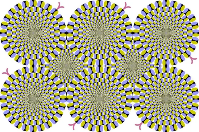 Illusjonen «The Rotating Snakes» var med i «Best Illusion of the Year Contest» i 2005. Susana Martinez-Conde utga i 2012 en studie der hun påviste hva som skjer i hjernen når vi ser slangene som beveger seg. (Illustrasjon: Cmglee/Wiki commons) Illusjonen «The Rotating Snakes» var med i «Best Illusion of the Year Contest» i 2005. Susana Martinez-Conde utga i 2012 en studie der hun påviste hva som skjer i hjernen når vi ser slangene som beveger seg. (Illustrasjon: Cmglee/Wiki commons)