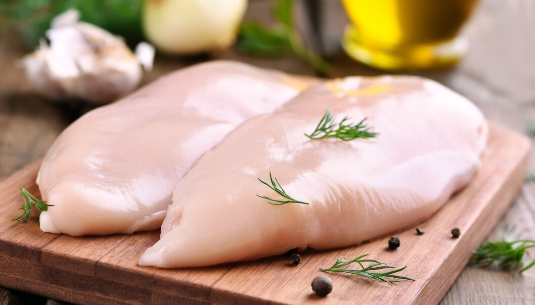 Til vanlig ser kyllingbrystene saftige og delikate ut. Men hvis de om er rammet av muskelsyndromet wooden breast, kan det gå ut over både mørhet, smak og utseende. (Foto: Shutterstock / NTB scanpix) Til vanlig ser kyllingbrystene saftige og delikate ut. Men hvis de om er rammet av muskelsyndromet wooden breast, kan det gå ut over både mørhet, smak og utseende. (Foto: Shutterstock / NTB scanpix)