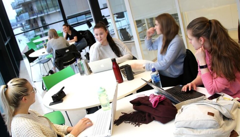 Radiografistudentene Vilde Kvenild, Erin Moen, Aslaug Sletta og Åse Funderud leser til eksamen på campus Drammen. Alle sier de tidvis kjenner på å være ekstra trøtte i eksamenstida. (Foto: Stian Kristoffer Sande)