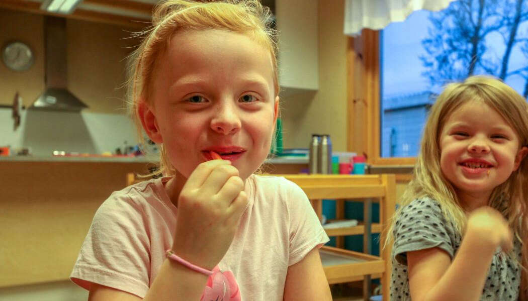 – Ungene synes det er gøy å lage mat sammen med andre. Jeg håper prosjektet kan gi barnehagene og foreldrene inspirasjon for hvordan de kan ta barna med i matlagingen, sier forsker. (Foto: Nofima) – Ungene synes det er gøy å lage mat sammen med andre. Jeg håper prosjektet kan gi barnehagene og foreldrene inspirasjon for hvordan de kan ta barna med i matlagingen, sier forsker. (Foto: Nofima)