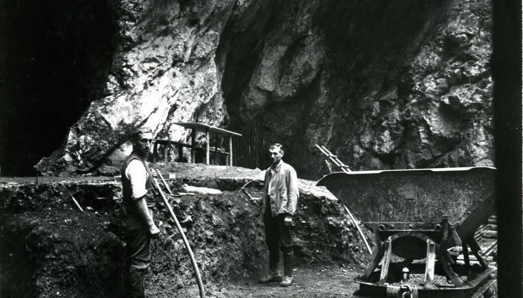 Utgravningene ved hulen i Tyskaland i 1937, der neandertalerknokkelen ble funnet. (Foto: © Photo Museum Ulm) Utgravningene ved hulen i Tyskaland i 1937, der neandertalerknokkelen ble funnet. (Foto: © Photo Museum Ulm)