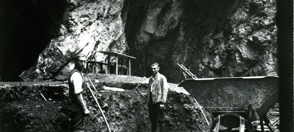 Utgravningene ved hulen i Tyskaland i 1937, der neandertalerknokkelen ble funnet.  (Foto: © Photo Museum Ulm)