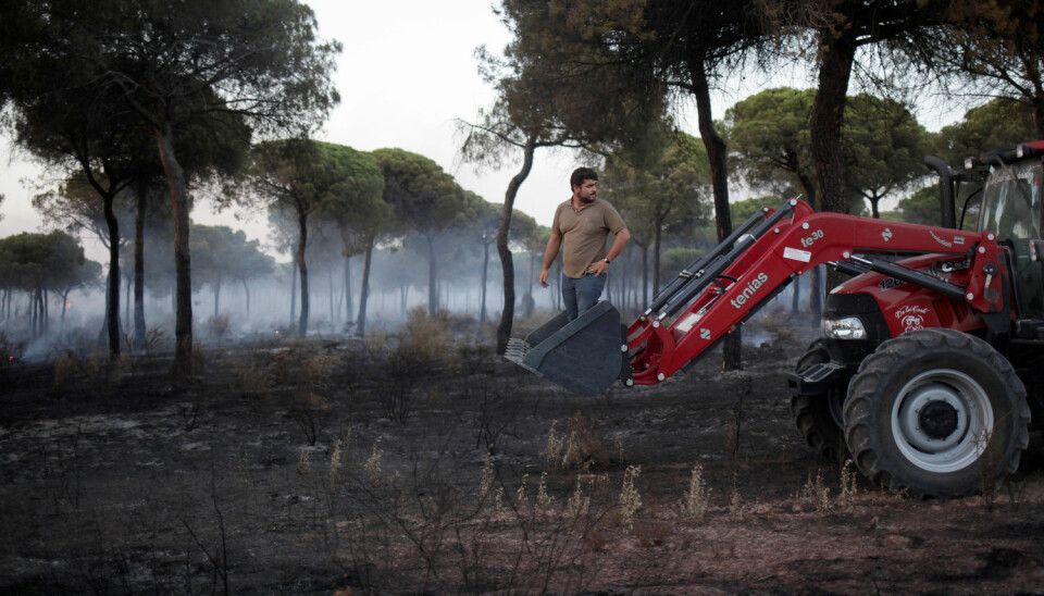 En mann hjelper til med å slukke en skogbrann i Spania i juni 2017.  (Illustrasjonsfoto: REUTERS/Jon Nazca/NTB Scanpix)