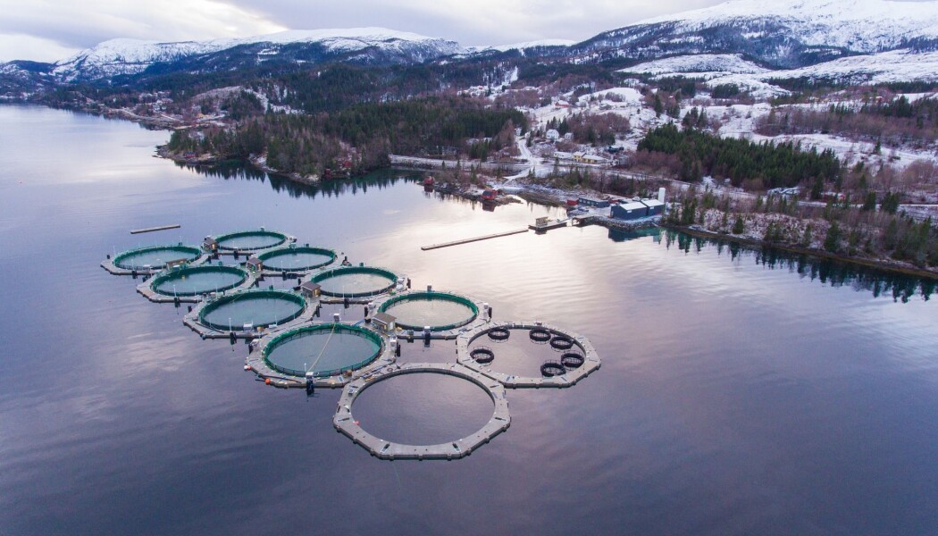 Mange av målingene i det nye forskningsprosjektet ble gjort ved dette oppdrettanlegget i Sæterosen i Brønnøy kommune (AkvaFuture AS). Fisken holder til i ti lukkede innhegninger, merder, som er lett å få øye på fra lufta. (Foto: Arve Nilsen) Mange av målingene i det nye forskningsprosjektet ble gjort ved dette oppdrettanlegget i Sæterosen i Brønnøy kommune (AkvaFuture AS). Fisken holder til i ti lukkede innhegninger, merder, som er lett å få øye på fra lufta. (Foto: Arve Nilsen)