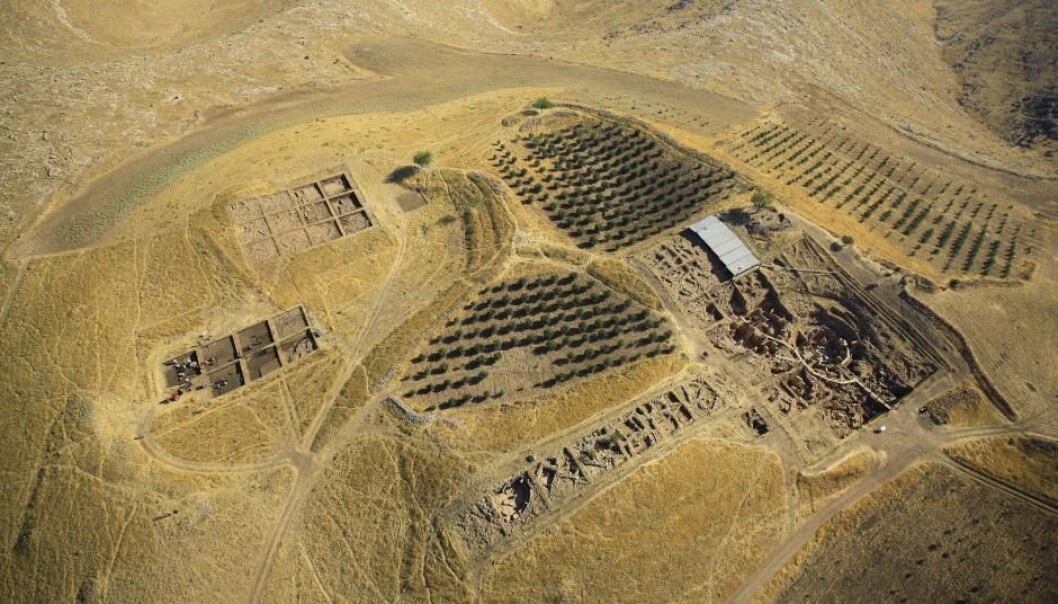 Tyske forskere har funnet fragmenter fra tre steinalderkranier som forteller historien om en mystisk «kranie-kult». Kraniene har antagelig hengt i templer i Göbekli Tepe, som vi ser på bildet. Stedet ble trolig brukt til religiøse ritualer, kanskje en slags overgangsritualer i forbindelse med døden, midtsommer eller midtvinter, forteller forsker Rune Iversen. (Foto: German Archaeological Institute) Tyske forskere har funnet fragmenter fra tre steinalderkranier som forteller historien om en mystisk «kranie-kult». Kraniene har antagelig hengt i templer i Göbekli Tepe, som vi ser på bildet. Stedet ble trolig brukt til religiøse ritualer, kanskje en slags overgangsritualer i forbindelse med døden, midtsommer eller midtvinter, forteller forsker Rune Iversen. (Foto: German Archaeological Institute)