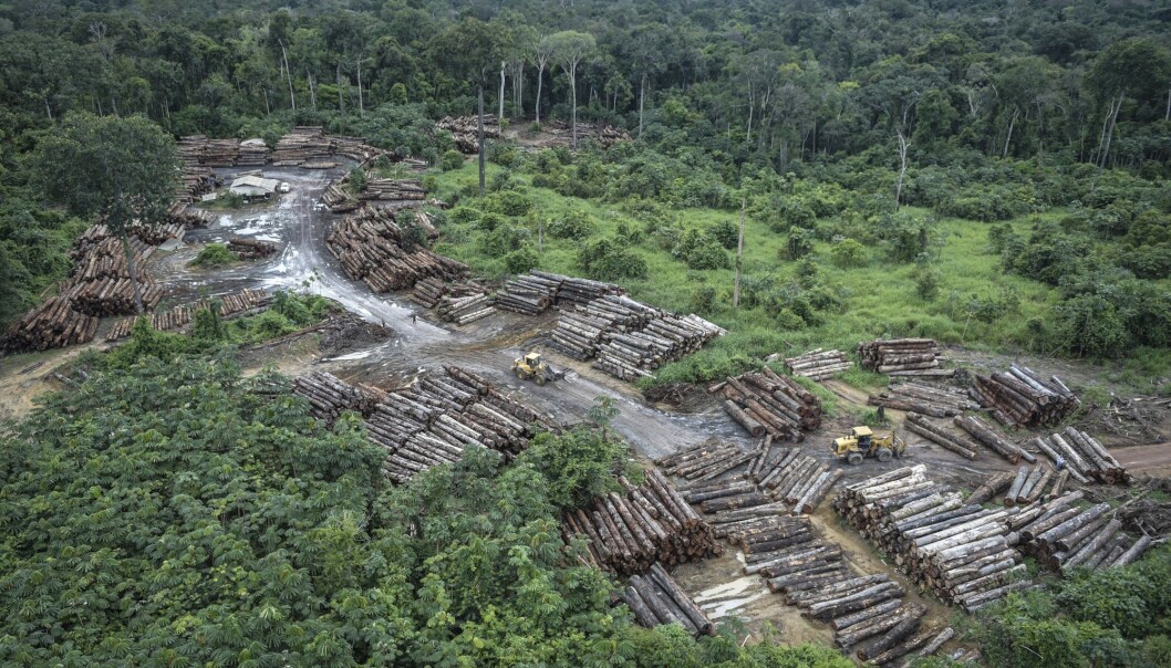 Bildet viser ulovlig avskoging i Pirititi i Amazonas i mai i år. (Foto: Felipe Werneck/Ibama via AP / NTB scanpix) Bildet viser ulovlig avskoging i Pirititi i Amazonas i mai i år. (Foto: Felipe Werneck/Ibama via AP / NTB scanpix)