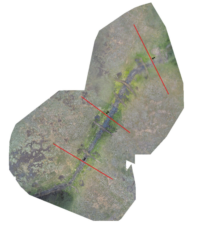 Bilder tatt med en drone over Kaldvassmyra viser tydelig hvor det er satt ned plugger i grøfta. De synes som grå streker tvers over grøfta. De røde strekene viser transektene der vi registrerte vegetasjonen. (Foto: Øyvind Hamre) Bilder tatt med en drone over Kaldvassmyra viser tydelig hvor det er satt ned plugger i grøfta. De synes som grå streker tvers over grøfta. De røde strekene viser transektene der vi registrerte vegetasjonen. (Foto: Øyvind Hamre)