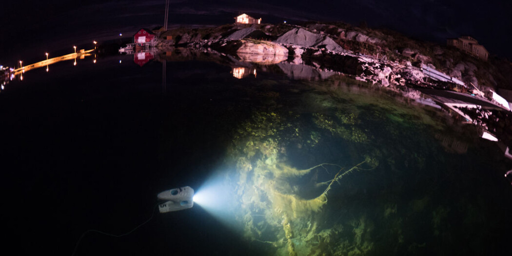 Undervannsrobototen Blueye Pioneer kan filme helt ned til 150 meter dybde. (Foto: Jonas Follesø) Undervannsrobototen Blueye Pioneer kan filme helt ned til 150 meter dybde. (Foto: Jonas Follesø)