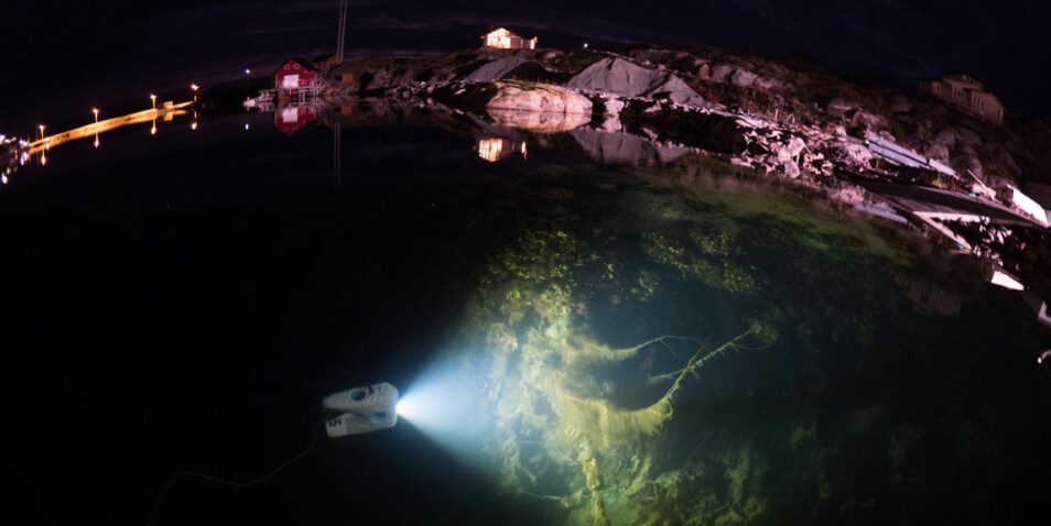 Undervannsrobototen Blueye Pioneer kan filme helt ned til 150 meter dybde. (Foto: Jonas Follesø)