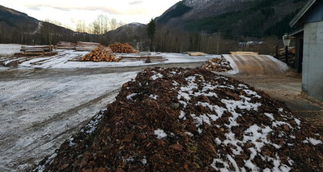 Bark fra norske sagbruk kan bli en viktig ressurs i utviklingen av nye parasittmidler. (Foto: Berit M. Blomstrand) Bark fra norske sagbruk kan bli en viktig ressurs i utviklingen av nye parasittmidler. (Foto: Berit M. Blomstrand)