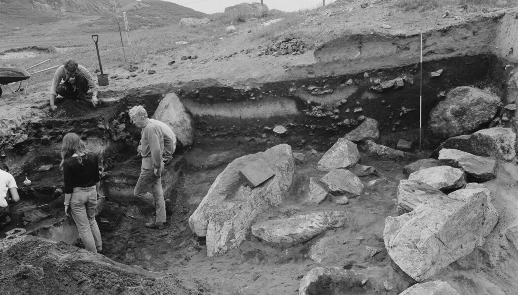 Fotoet er fra utgravningen av Slettabø i Rogaland i 1977. Dette var en steinalderboplass som fikk veldig stor betydning for forståelsen av yngre steinalder i Norge. På bildet ser man de tykke kulturlagene (de mørke, kullholdige lagene) som er avgrenset av lag med flyvesand. Undersøkelsen av boplassen ble ledet av Arne Skjølsvold. (Foto: hentet fra www.unimus.no) Fotoet er fra utgravningen av Slettabø i Rogaland i 1977. Dette var en steinalderboplass som fikk veldig stor betydning for forståelsen av yngre steinalder i Norge. På bildet ser man de tykke kulturlagene (de mørke, kullholdige lagene) som er avgrenset av lag med flyvesand. Undersøkelsen av boplassen ble ledet av Arne Skjølsvold. (Foto: hentet fra www.unimus.no)
