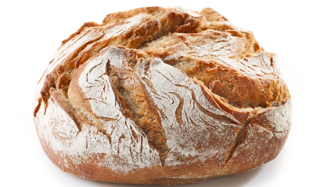 Er du ung, har lite utdannelse eller fikk servert lyst brød da du var liten – da er du mindre fristet til å spise sunt brød nå. Shutterstock/NTB scanpix Er du ung, har lite utdannelse eller fikk servert lyst brød da du var liten – da er du mindre fristet til å spise sunt brød nå. Shutterstock/NTB scanpix