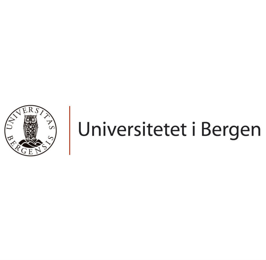 Seksjonssjef