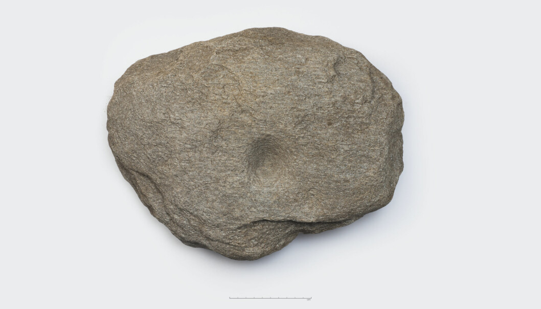 En stein med en såkalt skålgrop har vært brukt til å støtte en av stolpene inne i huset. (Foto: Terje Tveit, Arkeologisk museum, UiS)