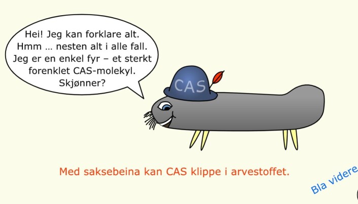 Bildet er hentet fra en animasjonsfilm som Arnfinn Sørensen lagde for forskning.no. Bildet er hentet fra en animasjonsfilm som Arnfinn Sørensen lagde for forskning.no.