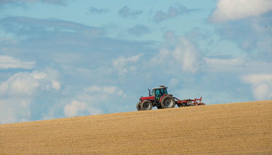 Nøkkelen til økt matproduksjon er å forbedre praksisen i den daglige gårdsdriften. (Foto: Erling Fløistad) Nøkkelen til økt matproduksjon er å forbedre praksisen i den daglige gårdsdriften. (Foto: Erling Fløistad)