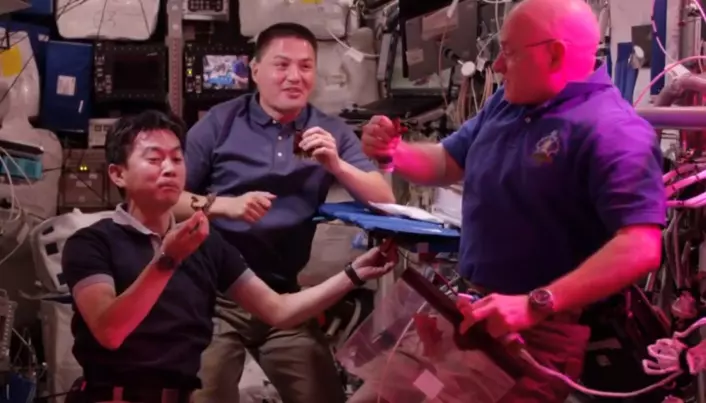 Derfor skåler astronautene med salat i verdensrommet