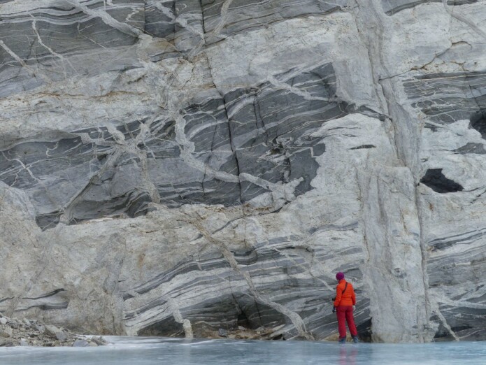 Det er de lyse mineralene som smelter først. Smelten strømmer langs sprekker i berget og størkner som magmatiske ganger (foto: Ane K. Engvik). Det er de lyse mineralene som smelter først. Smelten strømmer langs sprekker i berget og størkner som magmatiske ganger (foto: Ane K. Engvik).