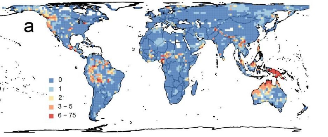 Kartet viser hvor i verden det er flest truede språk. Røde felt innebærer at det er mange truede språk i området. (Illustrasjon: Amano et. al, Proceedings of the Royal Society B) Kartet viser hvor i verden det er flest truede språk. Røde felt innebærer at det er mange truede språk i området. (Illustrasjon: Amano et. al, Proceedings of the Royal Society B)
