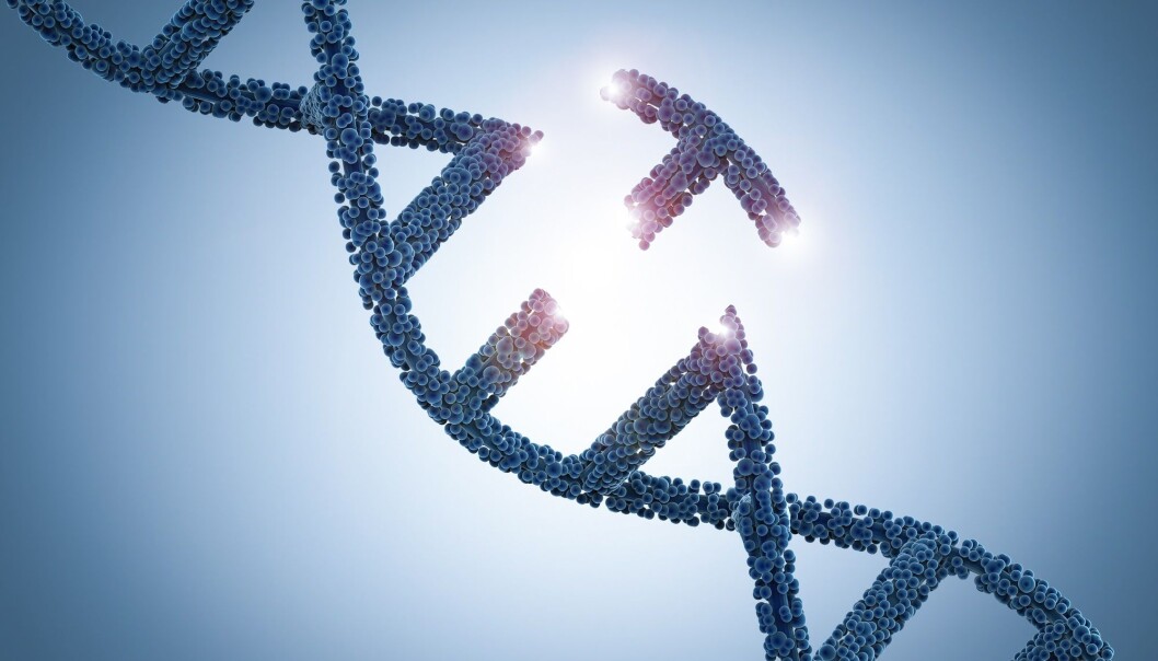 Litt som dette ser DNA ut. En spiral der gener ligger etter hverandre. Metoden CRISPR gjør det mulig å fjerne og bytte ut gener i DNA-et. Men det er ikke trygt nok til at vi kan bruke det så mye enda. Og selv om det blir trygt, er det kanskje ikke alltid riktig å gjøre det. (Tegning: Shutterstock / NTB scanpix) Litt som dette ser DNA ut. En spiral der gener ligger etter hverandre. Metoden CRISPR gjør det mulig å fjerne og bytte ut gener i DNA-et. Men det er ikke trygt nok til at vi kan bruke det så mye enda. Og selv om det blir trygt, er det kanskje ikke alltid riktig å gjøre det. (Tegning: Shutterstock / NTB scanpix)