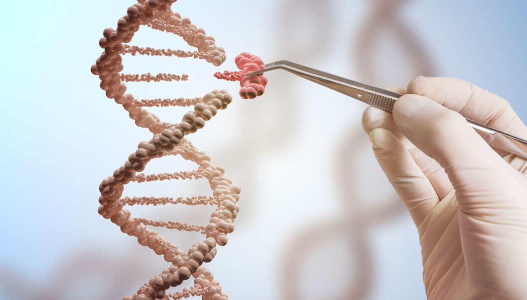Hvor risikabelt er det å redigere i DNA-et med CRISPR-teknologi? Forskerne er ikke helt enige. (Foto: vchal / Shutterstock / NTB scanpix) Hvor risikabelt er det å redigere i DNA-et med CRISPR-teknologi? Forskerne er ikke helt enige. (Foto: vchal / Shutterstock / NTB scanpix)