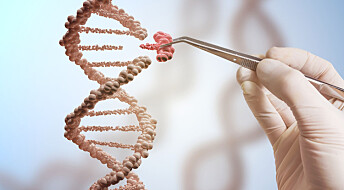 Hard kritikk mot CRISPR-studie