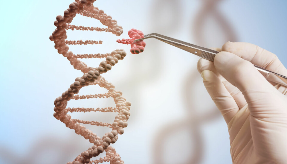 Hvor risikabelt er det å redigere i DNA-et med CRISPR-teknologi? Forskerne er ikke helt enige.  (Foto: vchal / Shutterstock / NTB scanpix)