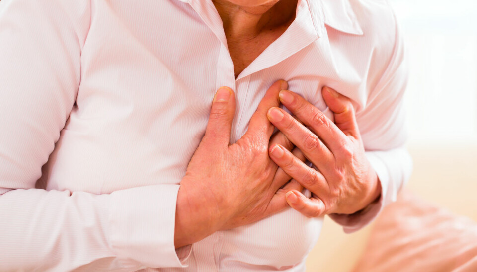 Hvis du får et hjerteinfarkt, utløser det vanligvis en betennelsesreaksjon i kroppen. Reaksjonen er nødvendig for at du skal bli frisk igjen, men er ofte større enn nødvendig. (Foto: Kzenon/Shutterstock/NTB scanpix)